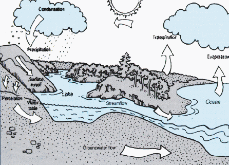 hydrologic cycle diagram